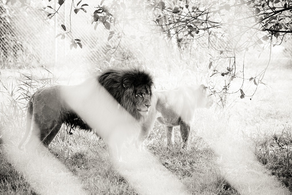 [20120903-IMG_9610%255B4%255D.jpg]