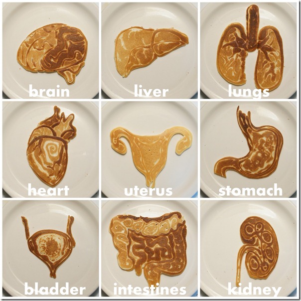 Body Organ pancake shapes