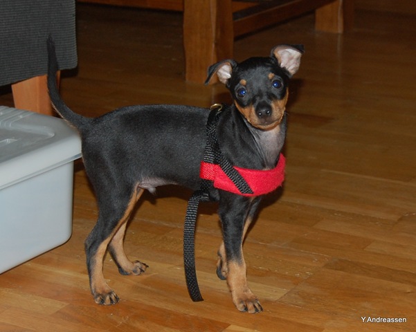 [DSC_7783%255B3%255D.jpg]