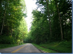 0031 Great Smoky Mountain National Park  - Tennessee - Little River Road