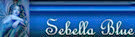signature (1) signature (1)