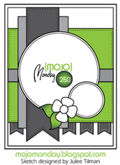 Mojo250Sketch