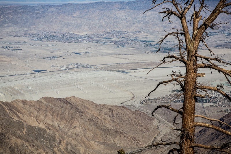 palm springs tram-8