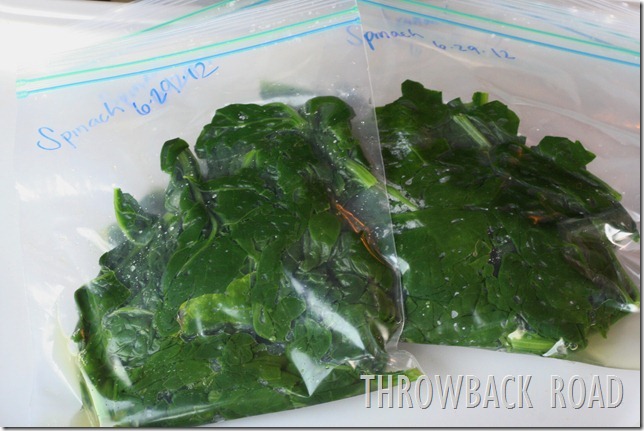spinach 045 spinach 045