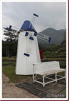 IMG_2485 IMG_2485