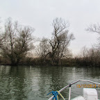 IMG_1342.JPG