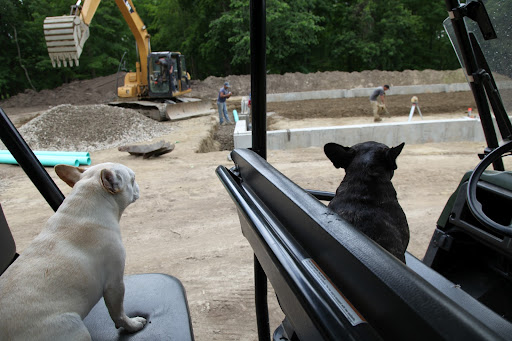 Sharkey!  What's going on here?  This is where the gigantic compost piles used to be.