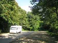 IMG_3486 IMG_3486