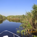 IMG_5700.JPG