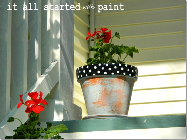 polka_dot_painted_pot_black_with_white