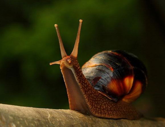 Photography of Natures beauty at its best