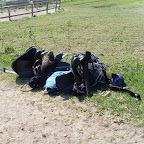 SL380205.JPG
