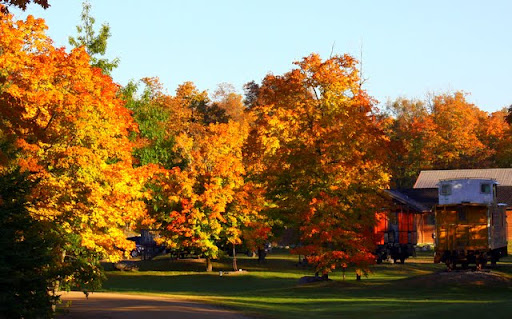Fall color in the switchyard
