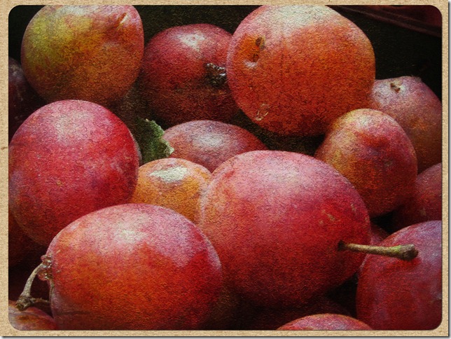 old-master-plums old-master-plums