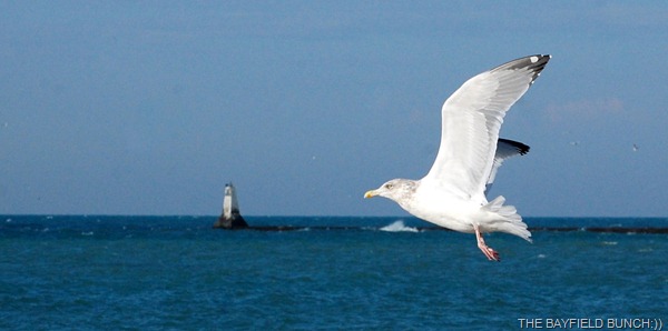 DSC_4718 DSC_4718