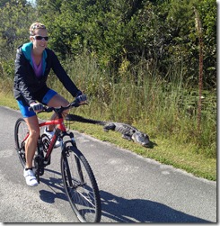 Biking with alligators