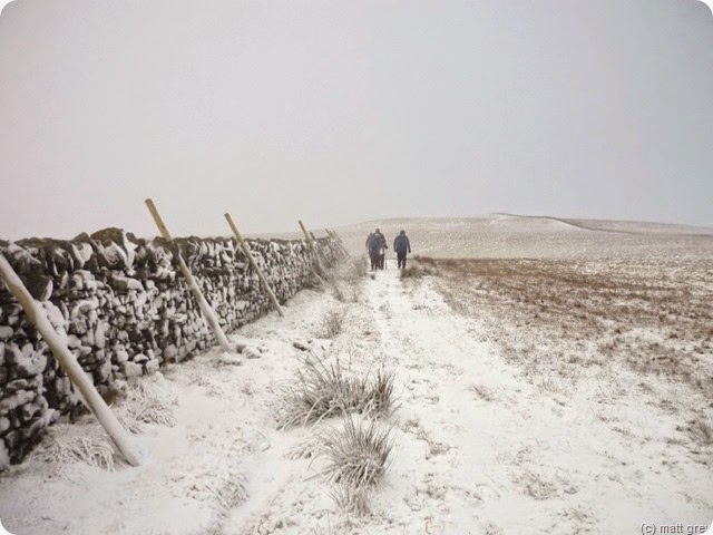 snowing again - sedling rake snowing again - sedling rake