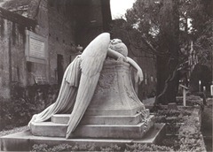 Fallen-Angel