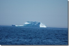 DSC_0146 DSC_0146