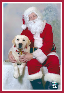 Really??"Bad enough you put this bell around my neck."Kramer with Jolly Ol' Santa