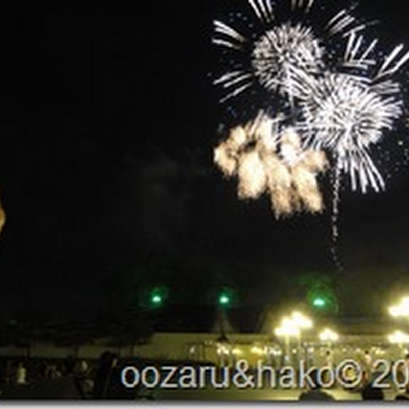 Fuegos Artificiales お花火