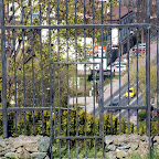 DSCF2383.JPG