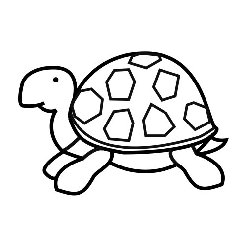 Tortuga dibujo infantil - Imagui