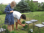Anthony helps with the smaller topiaries that perched next to the iron chairs.