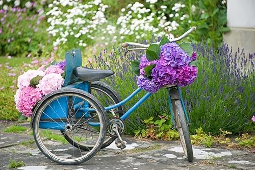 [bicycle-philippa-craddock-flowers-10%255B1%255D.jpg]