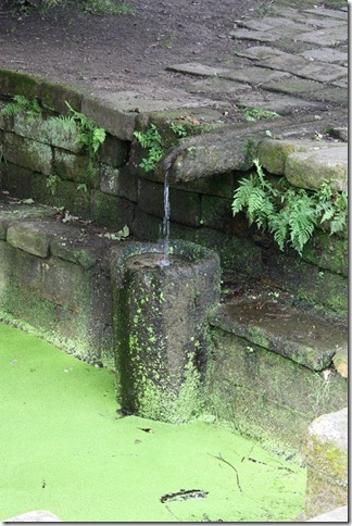 heilzaam water
