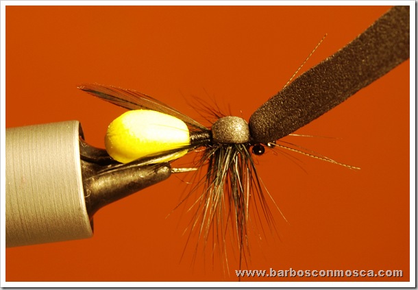 www.barbosconmosca.com www.barbosconmosca.com