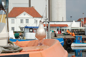 DSC_0014.JPG