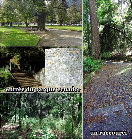 parque parque