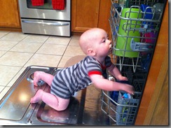 IMG_0229 IMG_0229