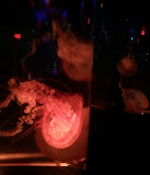 2011-11-07 11.17.26.jpg