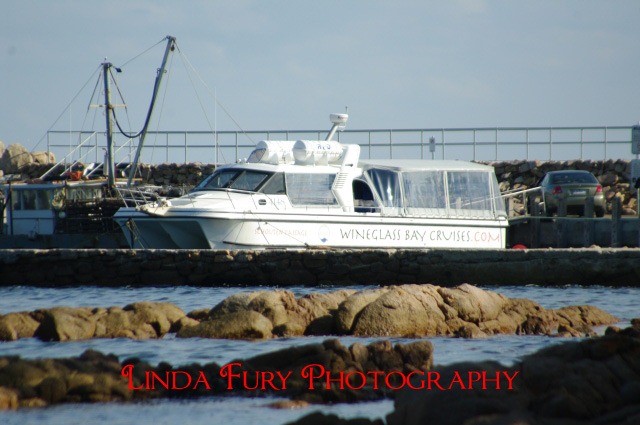 [Cruise%2520001%255B3%255D.jpg]
