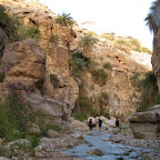 Jordan ירדן 2011