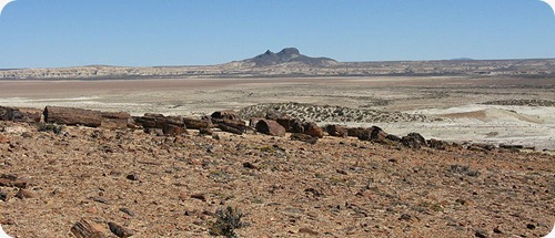 Bosques Petrificados Cerros_Madre_e_Hija Bosques Petrificados Cerros_Madre_e_Hija