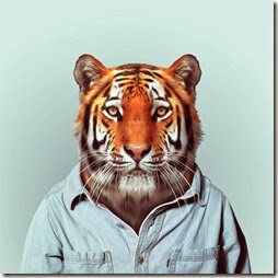 tigre tigre