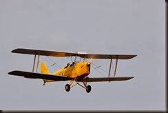 TIger Moth