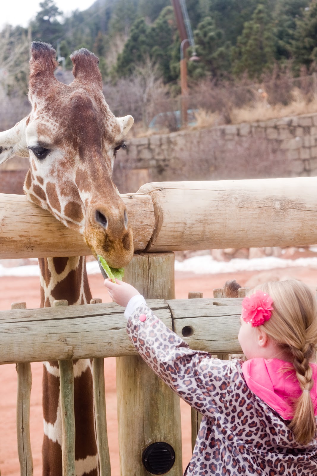 [03-28-13_soph-giraffe-64.jpg]