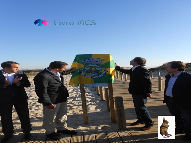 [O%2520desenvolvimento%2520das%2520Ruas%2520de%2520Espinho005Gazeta%2520de%2520Espinho%255B2%255D.jpg]