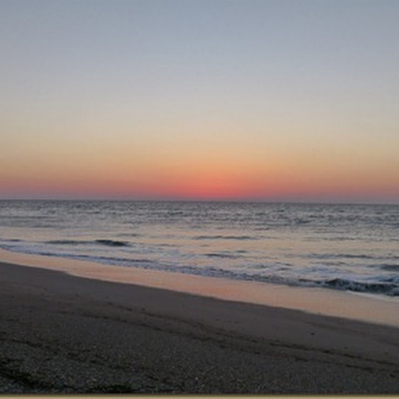Sunrise walk and birds~Edisto Beach SP