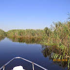 IMG_5701.JPG