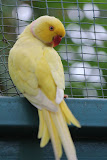 IMG_8265.jpg
