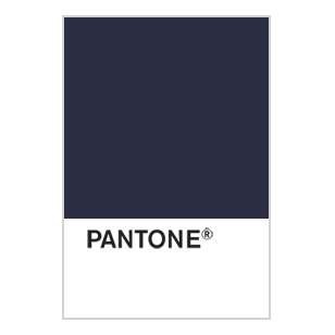 Pantone Pantone