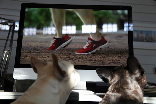 Sharkey, what about those running shoes he's wearing?  They must have special powers to make him run so fast!