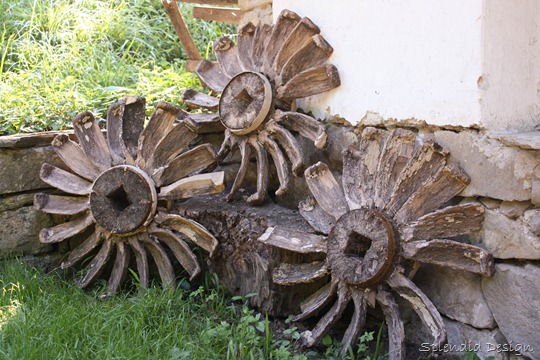 [IMG_78298.jpg]