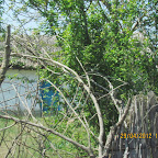IMG_7222.JPG
