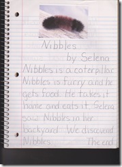 nibbles